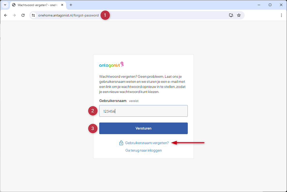 antagonist-onehome-password.png