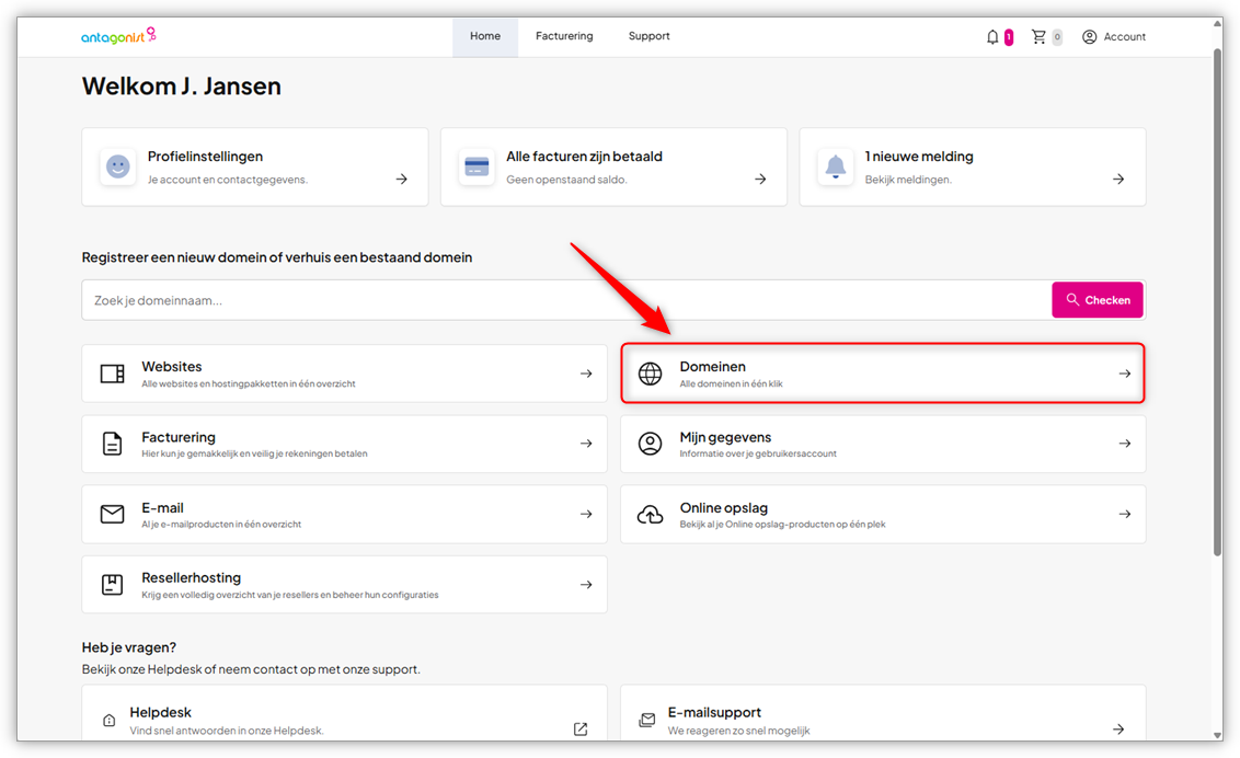 oneHome optie Domeinen.png