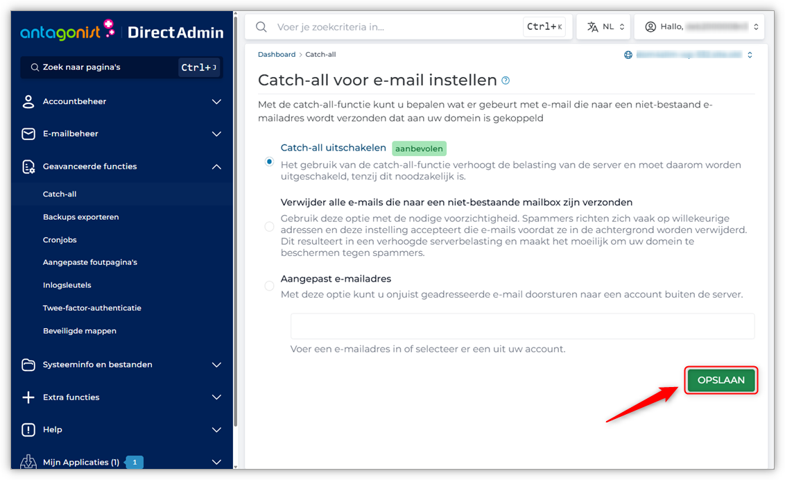 DA-catch-all keuze opslaan.png