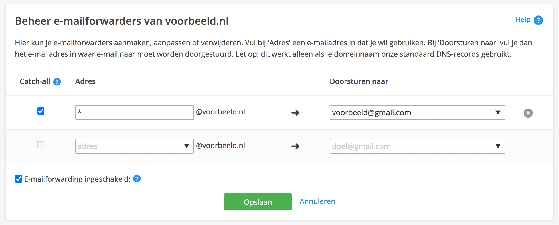 Een catch-all instellen bij een e-mailforwarder.