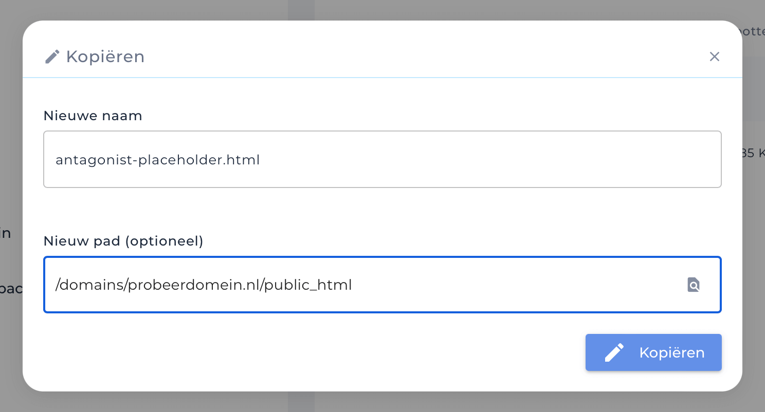 Bestanden of mappen kopiëren in DirectAdmin.