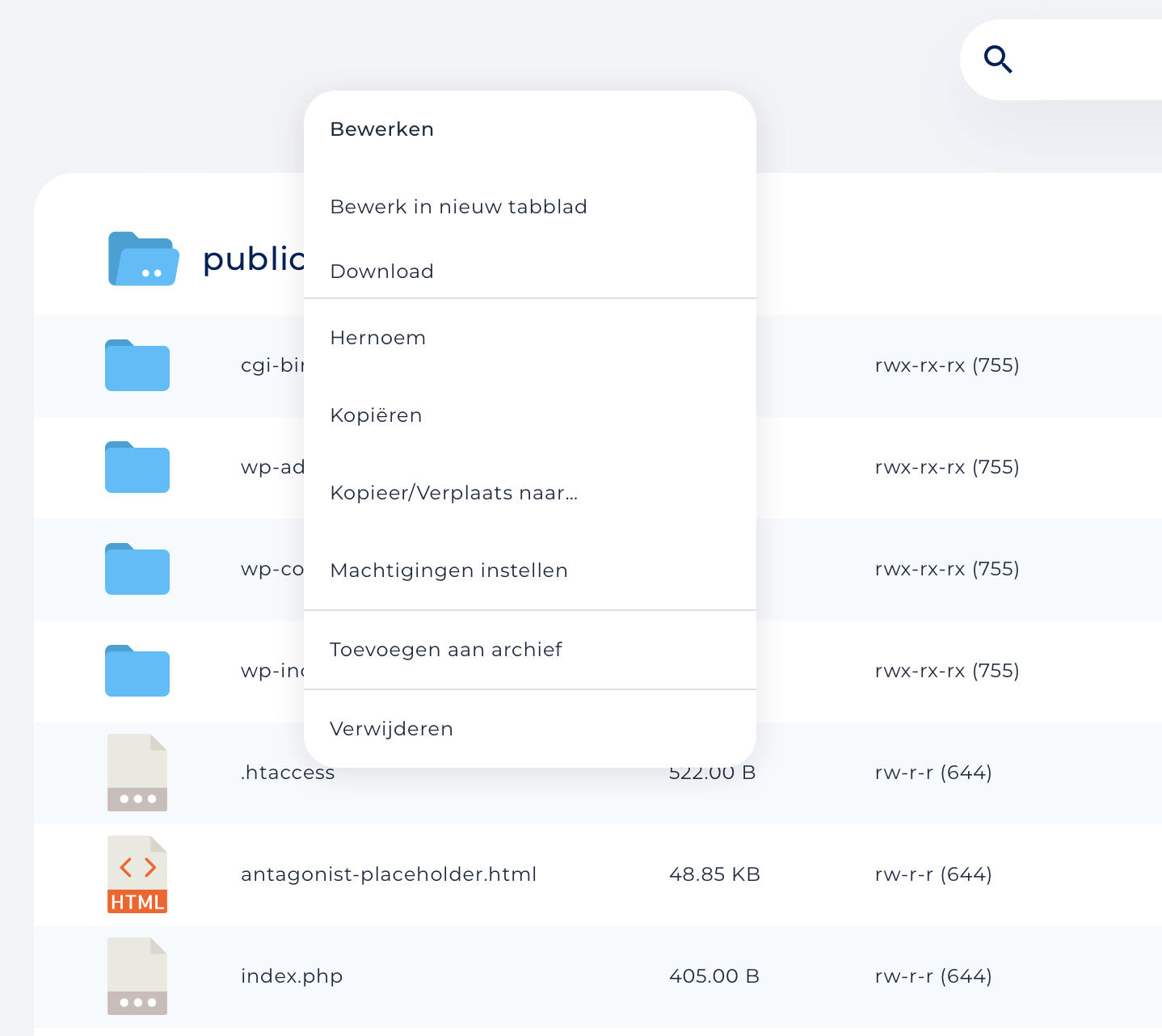 Bewerkopties voor bestanden in DirectAdmin.