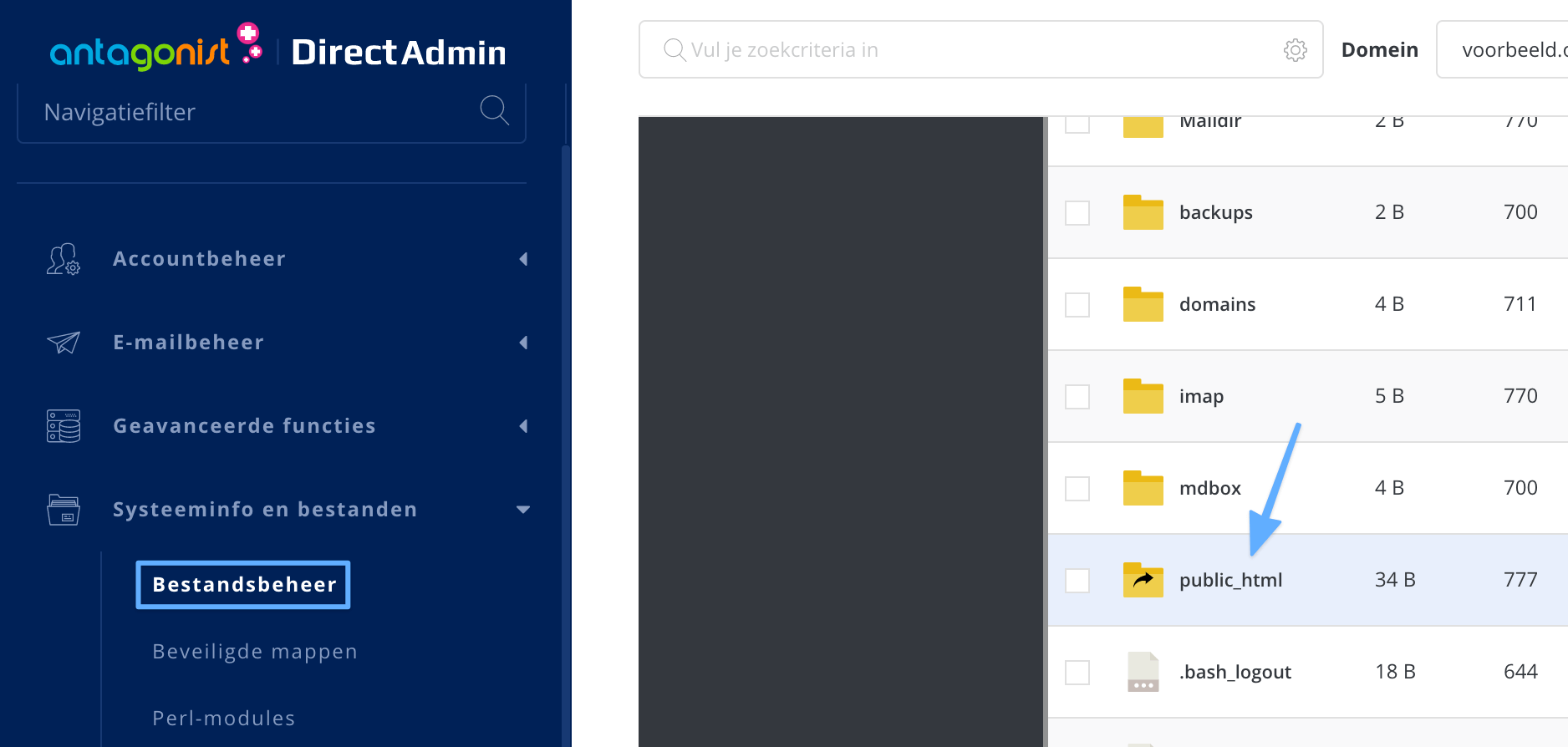Bestandsbeheer in DirectAdmin.
