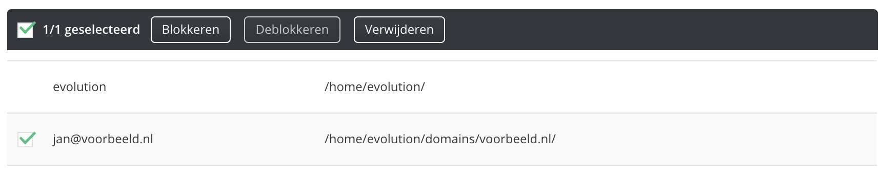 Het verwijderen van een FTP-account in DirectAdmin.